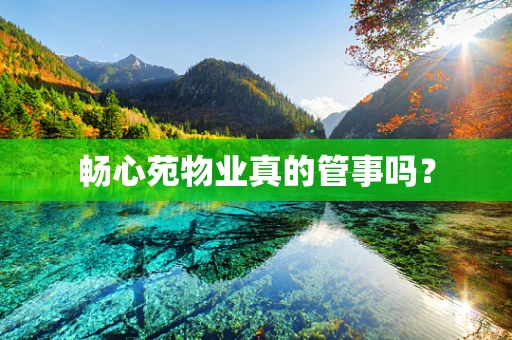 畅心苑物业真的管事吗？