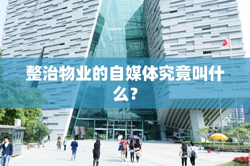 整治物业的自媒体究竟叫什么？