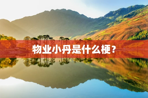 物业小丹是什么梗？