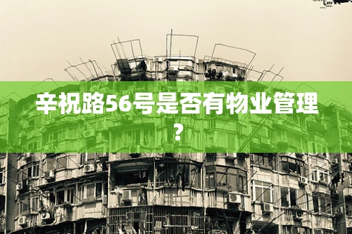 辛祝路56号是否有物业管理？