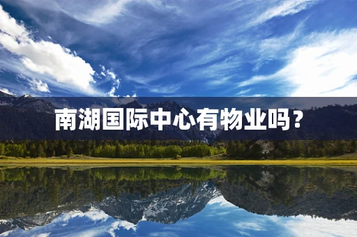 南湖国际中心有物业吗？