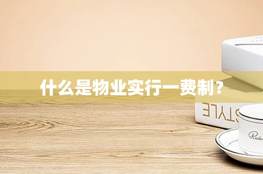 什么是物业实行一费制？