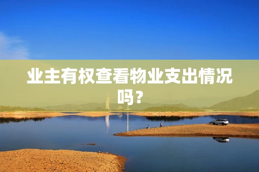 业主有权查看物业支出情况吗？