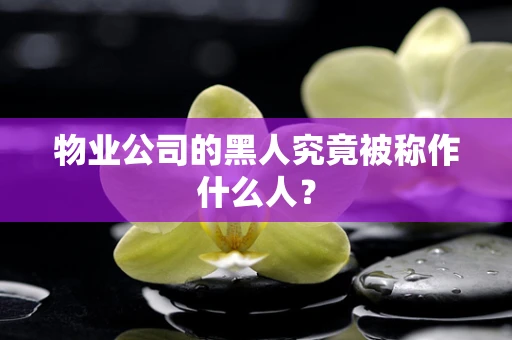 物业公司的黑人究竟被称作什么人？