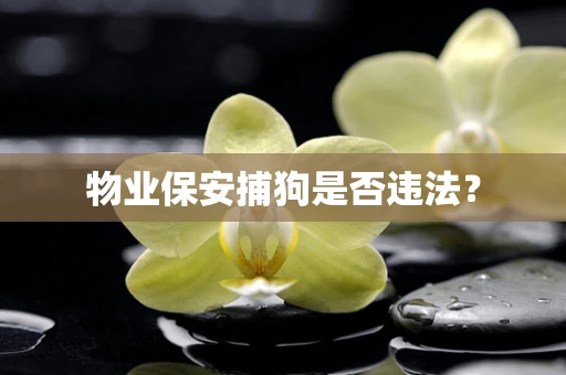 物业保安捕狗是否违法？
