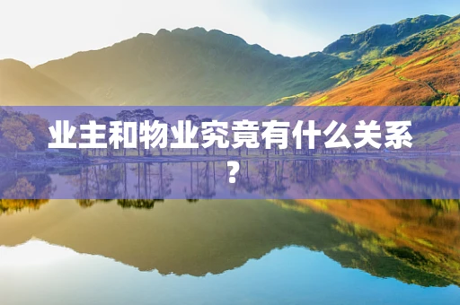 业主和物业究竟有什么关系？