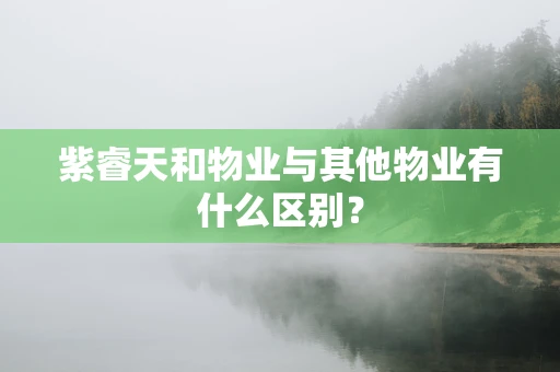 紫睿天和物业与其他物业有什么区别？
