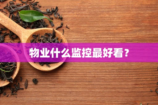 物业什么监控最好看？