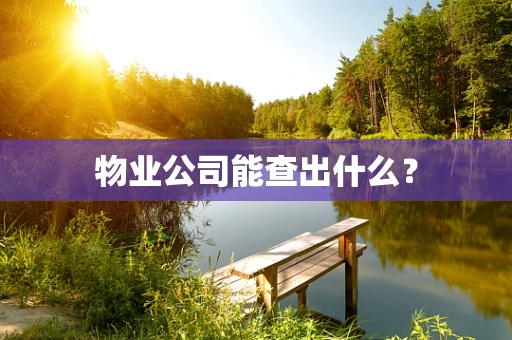 物业公司能查出什么？