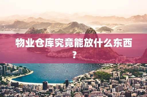 物业仓库究竟能放什么东西？