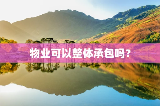 物业可以整体承包吗？