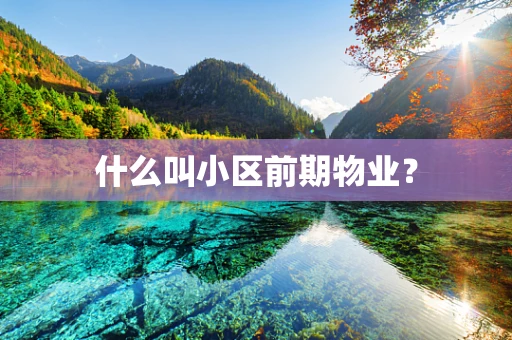 什么叫小区前期物业？