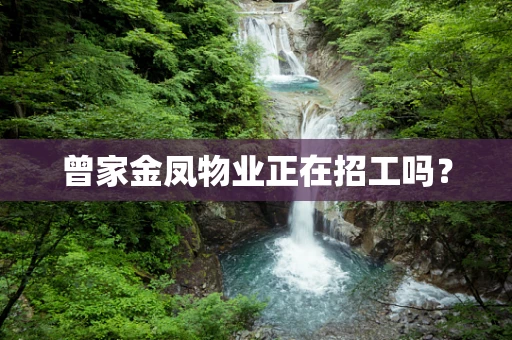 曾家金凤物业正在招工吗？