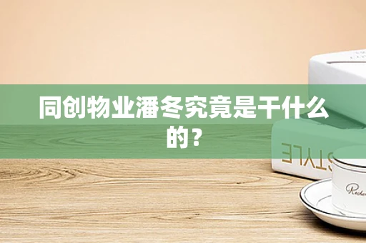 同创物业潘冬究竟是干什么的？