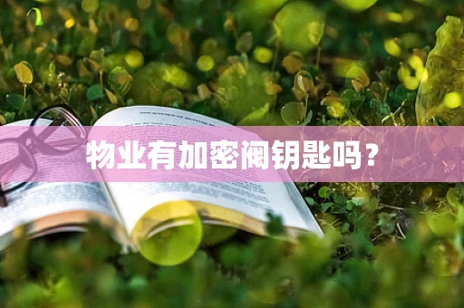 物业有加密阀钥匙吗？