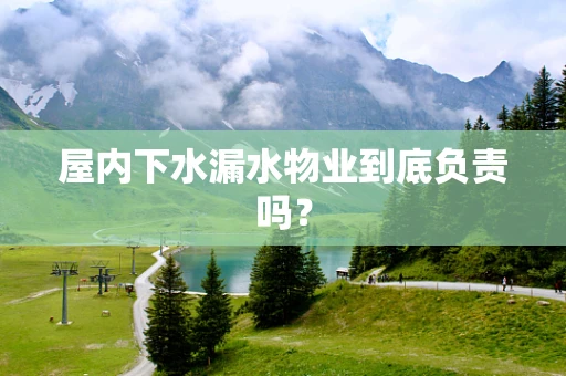 屋内下水漏水物业到底负责吗？