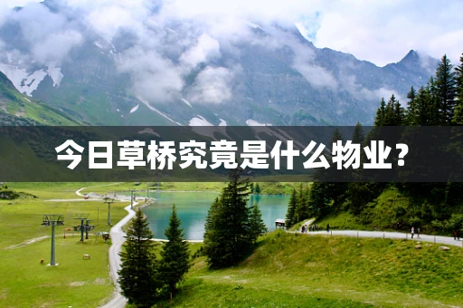 今日草桥究竟是什么物业？