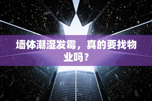 墙体潮湿发霉，真的要找物业吗？