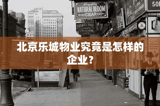 北京乐城物业究竟是怎样的企业？