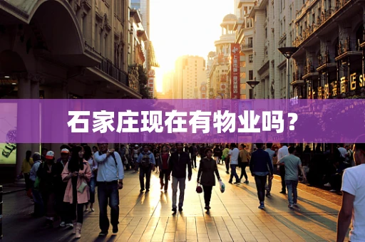 石家庄现在有物业吗？