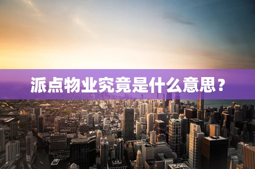 派点物业究竟是什么意思？