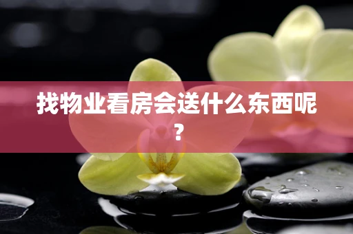 找物业看房会送什么东西呢？