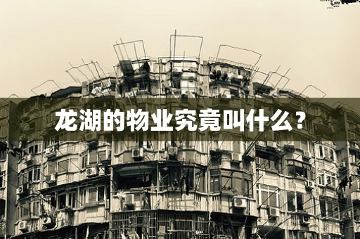 龙湖的物业究竟叫什么？