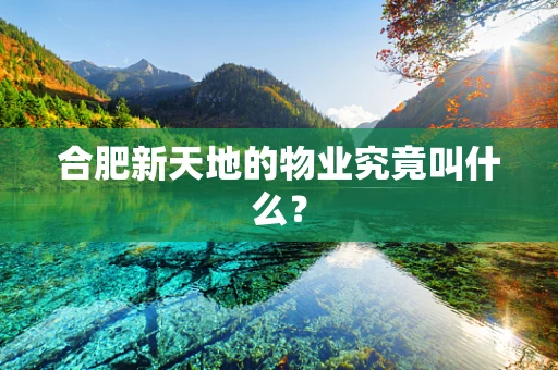 合肥新天地的物业究竟叫什么？