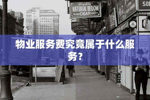 物业服务费究竟属于什么服务？