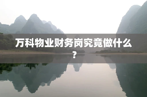 万科物业财务岗究竟做什么？