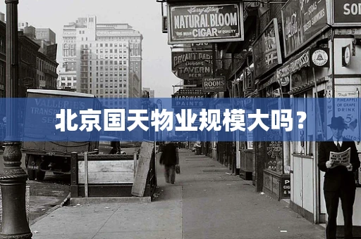 北京国天物业规模大吗？