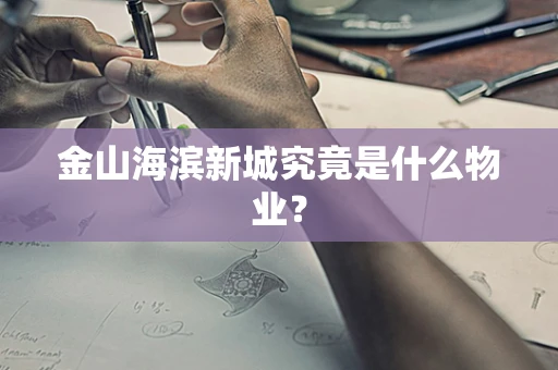 金山海滨新城究竟是什么物业？
