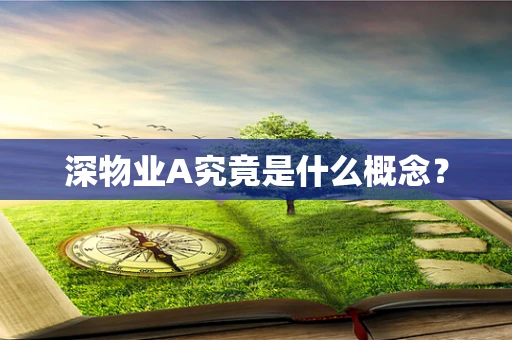 深物业A究竟是什么概念？