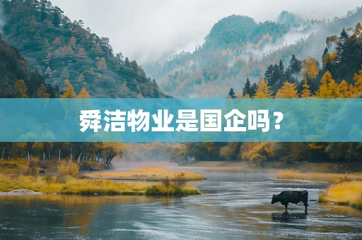 舜洁物业是国企吗？