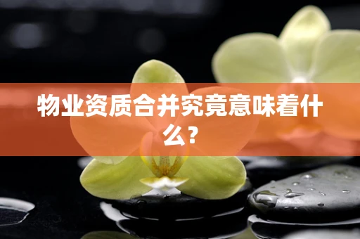 物业资质合并究竟意味着什么？