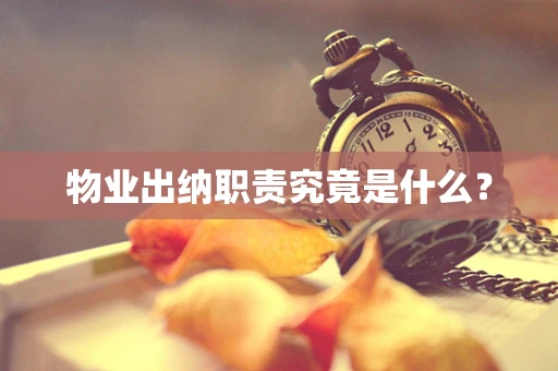 物业出纳职责究竟是什么？