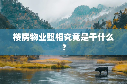 楼房物业照相究竟是干什么？
