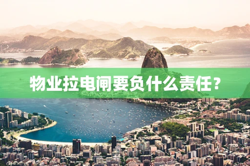 物业拉电闸要负什么责任？
