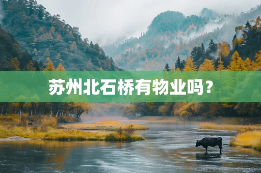 苏州北石桥有物业吗？