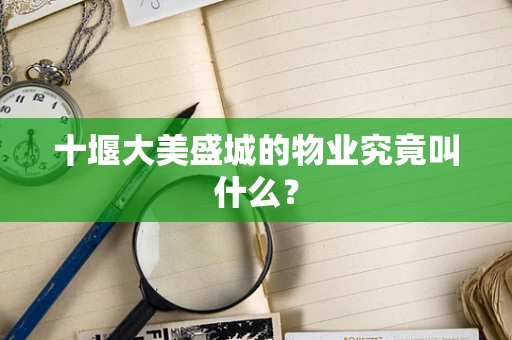 十堰大美盛城的物业究竟叫什么？