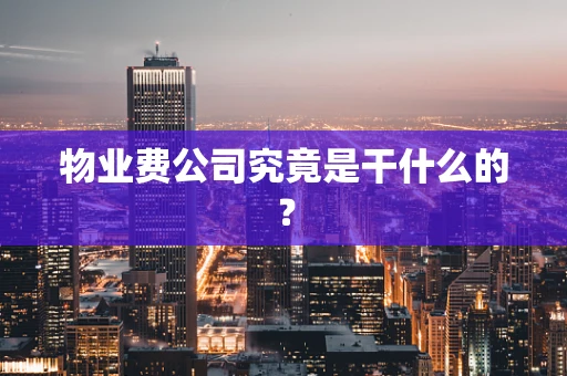 物业费公司究竟是干什么的？