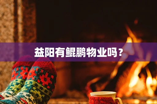 益阳有鲲鹏物业吗？