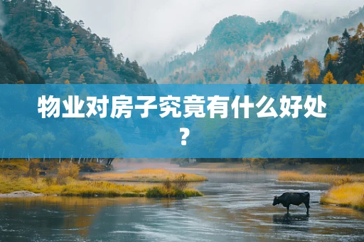 物业对房子究竟有什么好处？