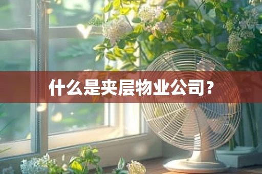 什么是夹层物业公司？