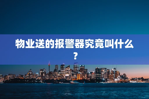 物业送的报警器究竟叫什么？