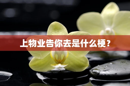 上物业告你去是什么梗？