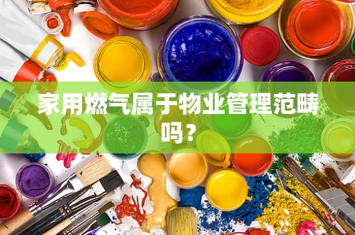 家用燃气属于物业管理范畴吗？